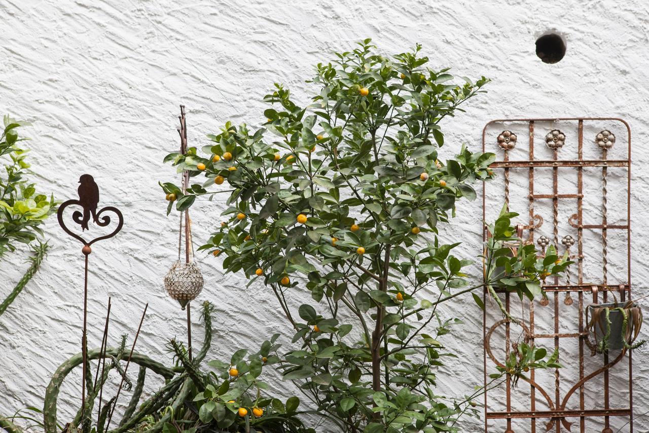 Caffe Dell'arte Boutique Locarno